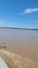 En pequeñas embarcaciones hacen llegar alimentos para almuerzo escolar en distritos inundados de Concepción