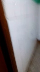 San Antonio: mujer picada por un alacrán denunció que esperó casi dos horas para ser atendida en el centro de salud