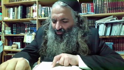 ברית מנוחה 1