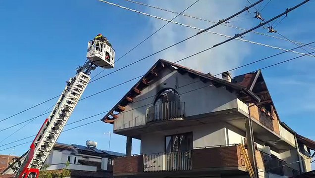 Image from field_mediaid