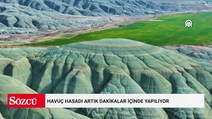 Havuç hasadı artık dakikalar içinde yapılıyor