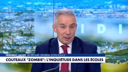 Interdiction couteau «zombie» : «Avec le commerce en ligne, c'est difficile à contrôler», indique Frédéric Lauze