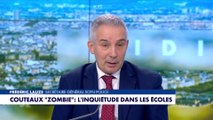 Interdiction couteau «zombie» : «Avec le commerce en ligne, c'est difficile à contrôler», indique Frédéric Lauze