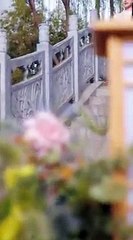 She knew it was a contract marriage, but when she asked for divorce, the CEO panicked - Chinese  2025