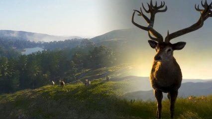 Die Jagdsimulation theHunter: Call of the Wild entführt euch schon bald in die wunderschönen schottischen Highlands