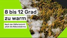 Dezember-Wetter aktuell: 8 bis 12 Grad zu warm - nach der Kälte kommt jetzt die Rekordwärme