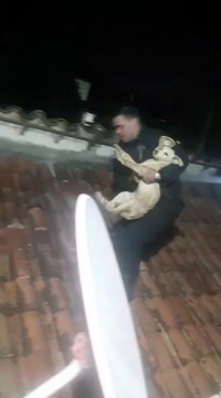 Un perro quedó atrapado en el techo de una casa y agentes policiales lo rescataron