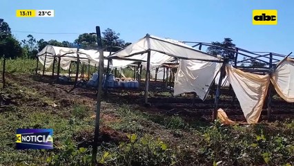 Temporal destruyó casas en el sur y perjudicó a agricultores en Coronel Oviedo