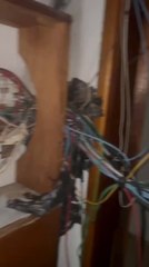 Iba a reparar cables robados de su casa y halló al mismo ladrón bajo su cama