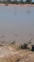 Hallan a desaparecidos dentro de una camioneta que cayó al tajamar