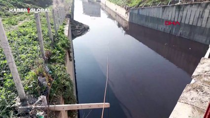 Haramidere'nin rengi kırmızıya döndü, mahalleli tepki gösterdi