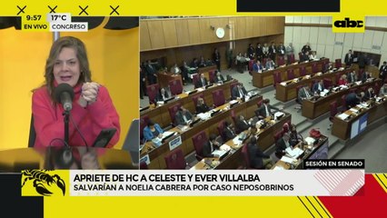 Neposobrinos: Noelia Cabrera realizará descargo ante el pleno del Senado