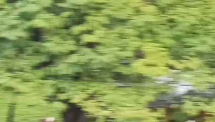 Ladrones hurtan cables de Copaco de túnel y terminan presos