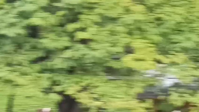 Ladrones hurtan cables de Copaco de túnel y terminan presos