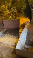 Limpieza De Reservorio En El Parque Carlos Antonio López