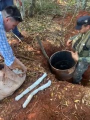 Hallan Caleta Con Explosivos En Concepción