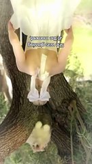 [Hot 2025🔥] The Mistaken First Love Full Movie _ Dramabox