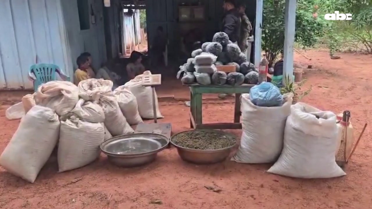 Caen Toneladas De Marihuana