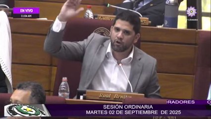 Incidentes en la Cámara de Diputados