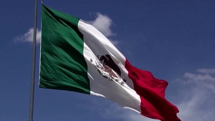 [단독] 멕시코 현지서 우리 국민, 강도 여러 명에게 살해당해 / YTN