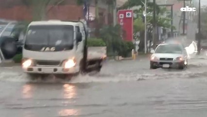 Palangana sobre Artigas