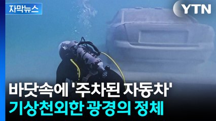 [자막뉴스] 바다에 떨어진 자동차 한 대...과학자들의 대담한 실험 / YTN