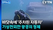 [자막뉴스] 바다에 떨어진 자동차 한 대...과학자들의 대담한 실험 / YTN
