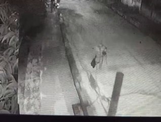 Detienen a presunto adicto por robo en una vivienda (2)