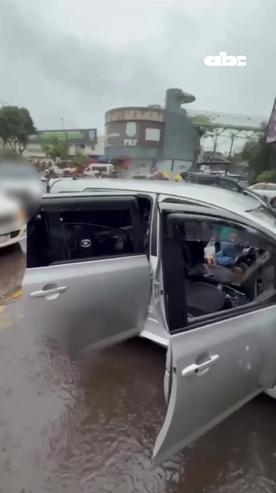 Supuesto tortolero