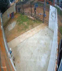 Presunto Feminicidio En ÑEmby