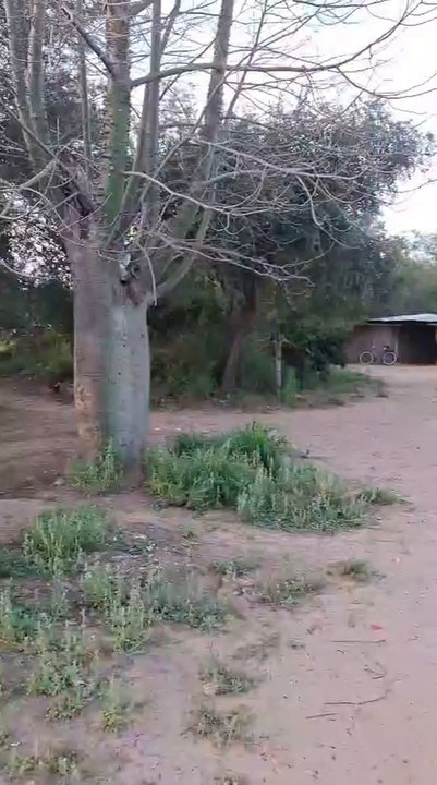 Comunidad Chaidi