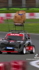 El Polaco Kajetan Kajetanowicz Ama Los Carpinchos