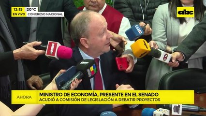 “El mercado necesita más mercado” dice ministro de Economía y promete acciones para bajar precios
