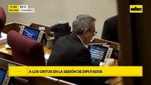 Incidentes en la Cámara de Diputados