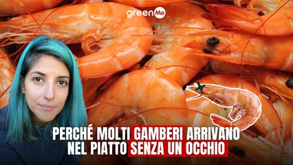 Perché molti gamberi arrivano nel piatto senza un occhio