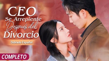 CEO Se Arrepiente Después del Divorcio