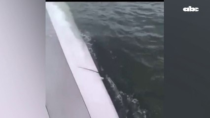 Accidente de Avión de Carga en Hong Kong Deja Dos Muertos Tras Choque y Caída al Mar