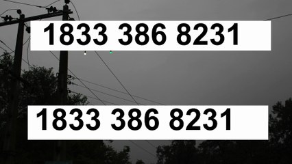 How to Contact Ledger wallet ® Customer Service | Ultimate 24/7 Support Guide