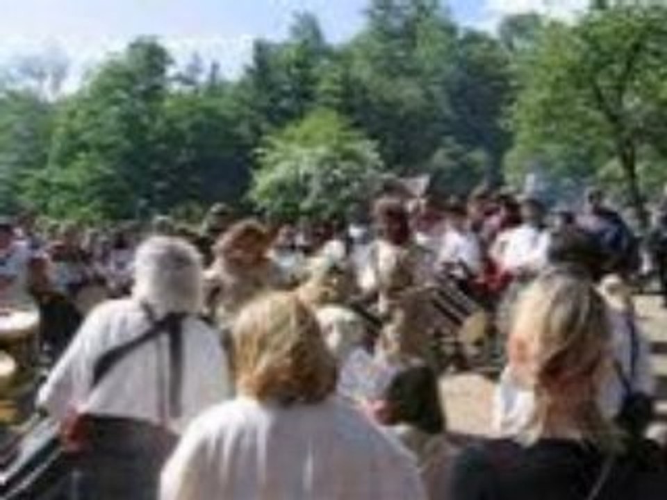 Condor aux medievales d'andilly 2008