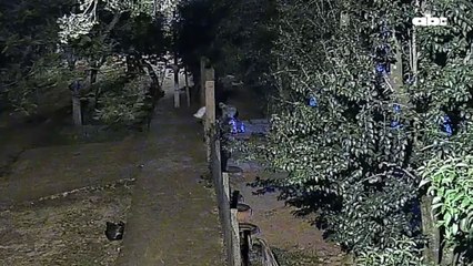 Hurtan por séptima vez en el Colegio Nacional Carlos Antonio López de Trinidad.