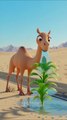 A Camel Saved The Tourniquet tree 🍐 from Drying Out by Water it 😭#ai #save #water #camel