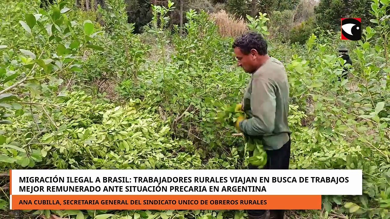 Trabajadores rurales en busca de trabajos mejor remunerado ante situación precaria en Argentina