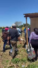 Enfrentamientos entre invasores en La Felsina