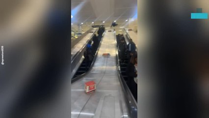 Man Slides Down Escalator Railing in Stratford
