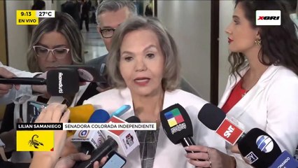 Lilian Samaniego en el Congreso