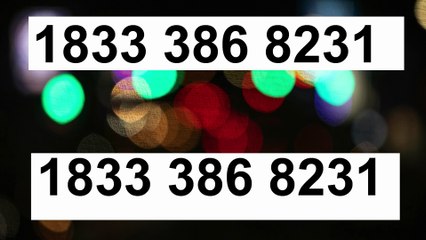 How to Contact Zengo ® Customer Service | Ultimate 24/7 Support Guide