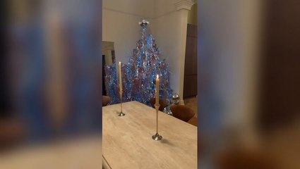Stacey Dooley reveals very unique Christmas tree with nod to Strictly