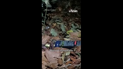 3 morts en voiture dans le Gard, du protoxyde d’azote retrouvé