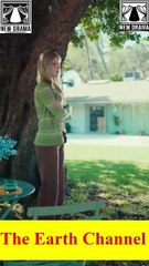 💙🍏 🔥 [Good] Baby Bump To Billionaire's Wife dailymotion 🌍 x9mc2ts