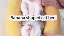 Banana shaped cat bed